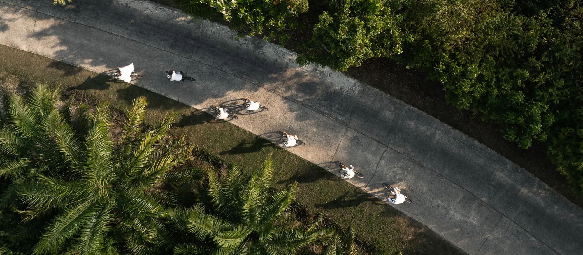 ANI Thailand - Guest Privileges - Breakfast in the Paddy fields
