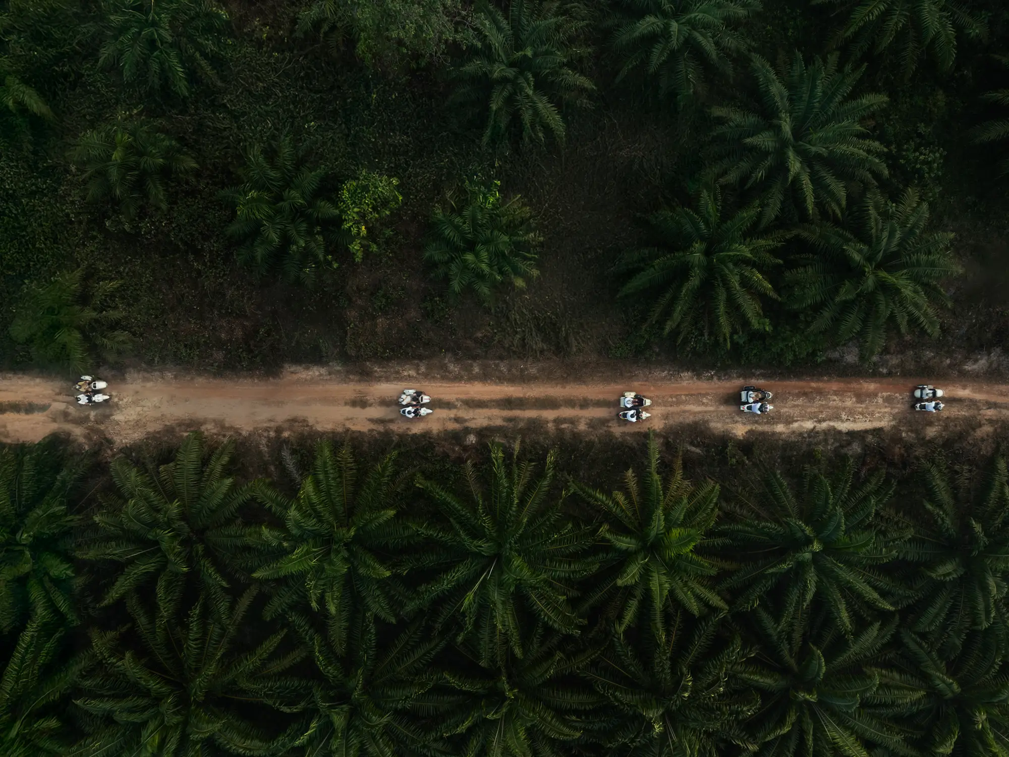 ANI Thailand - Dining - Dishes - Beef with Black ink pasta