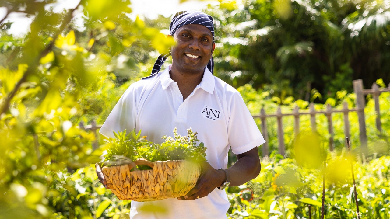 ANI Anguilla - Chef Karan