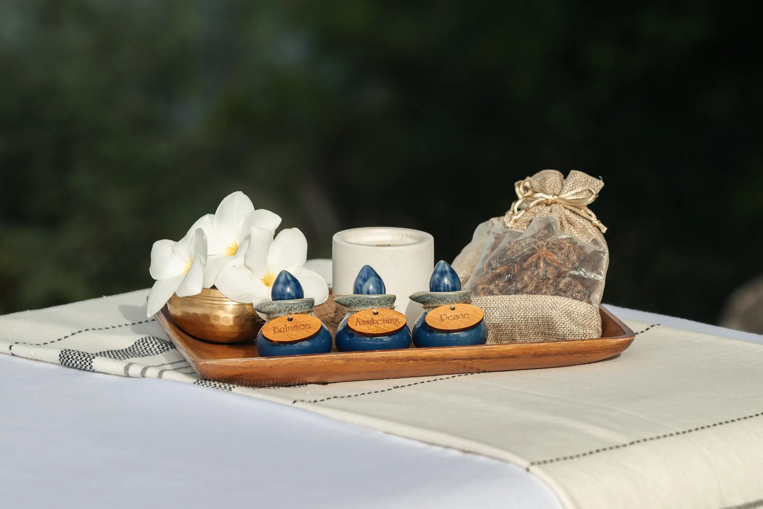 Private spa resort and wellness program ANI Thailand