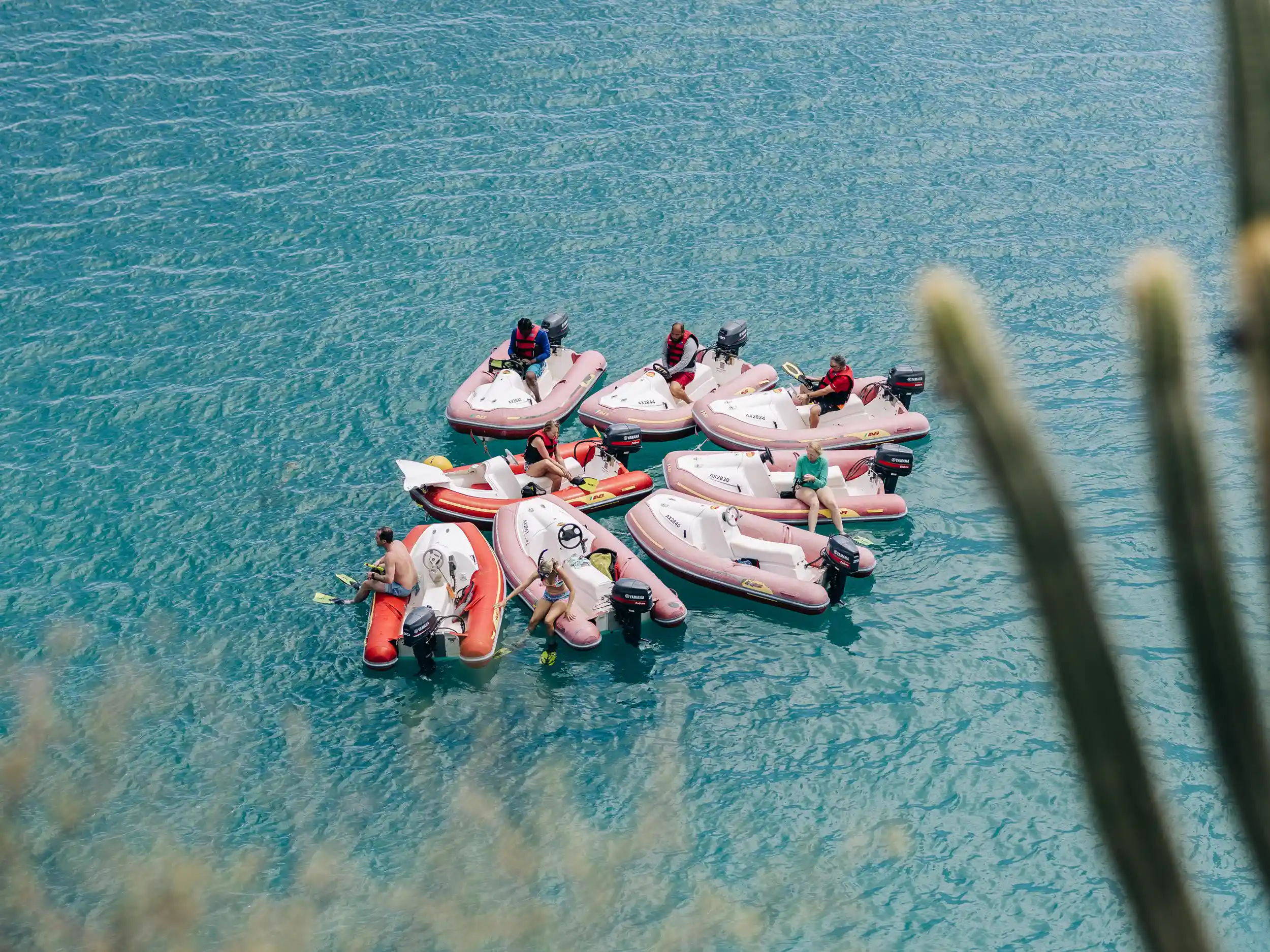 Scuba diving trip by ANI Anguilla at Little Bay Marine Park and Shoal Bay