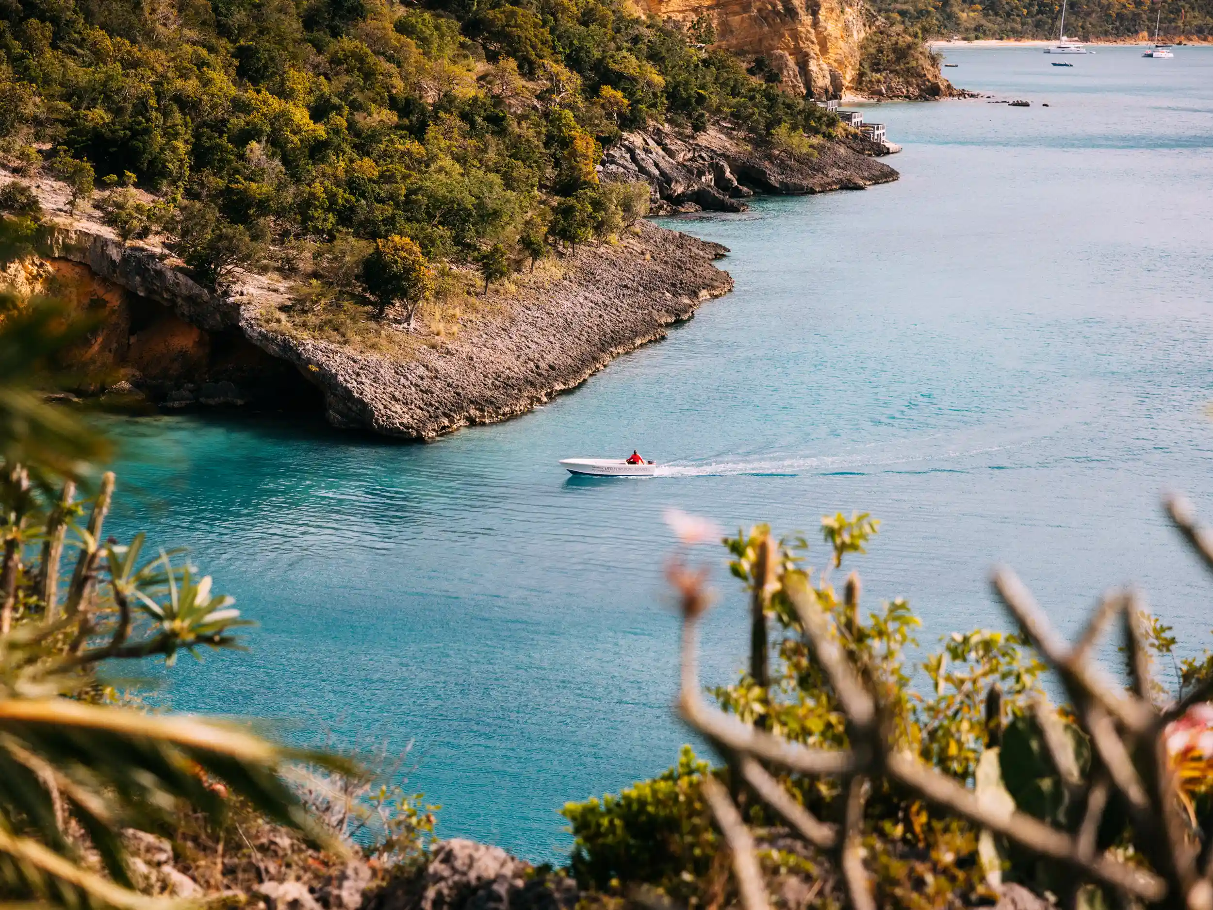 Scuba diving trip by ANI Anguilla at Little Bay Marine Park and Shoal Bay