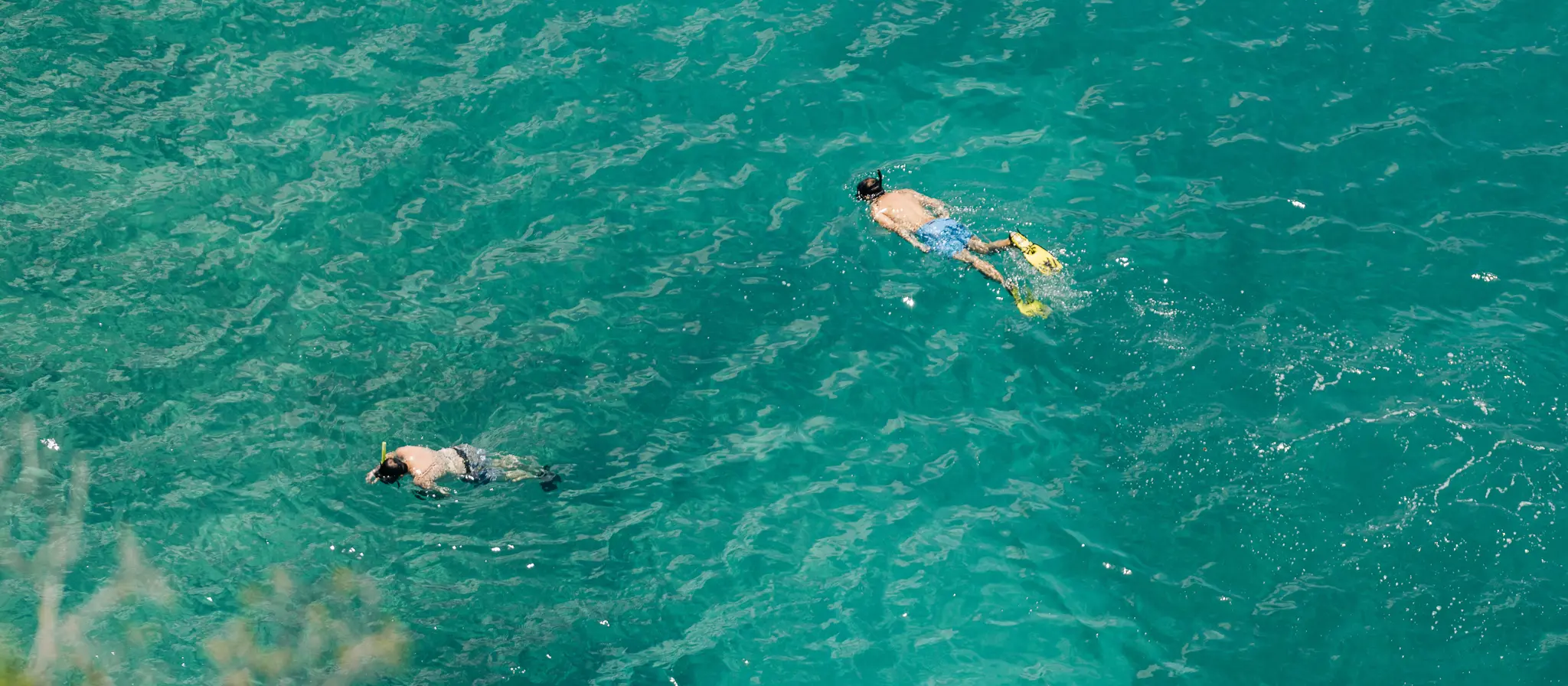 ANI Anguilla - Guest Privileges - Snorkeling 3