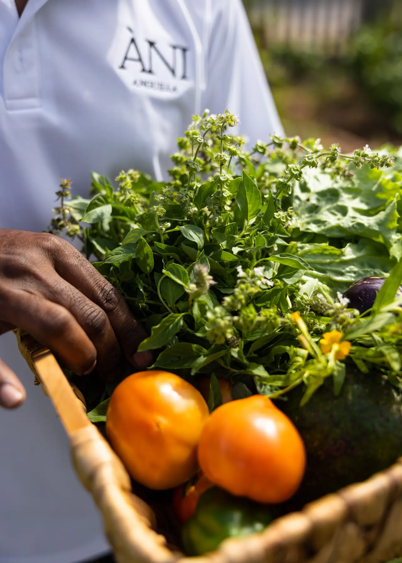 ANI Sri Lanka - Dining - Spices
