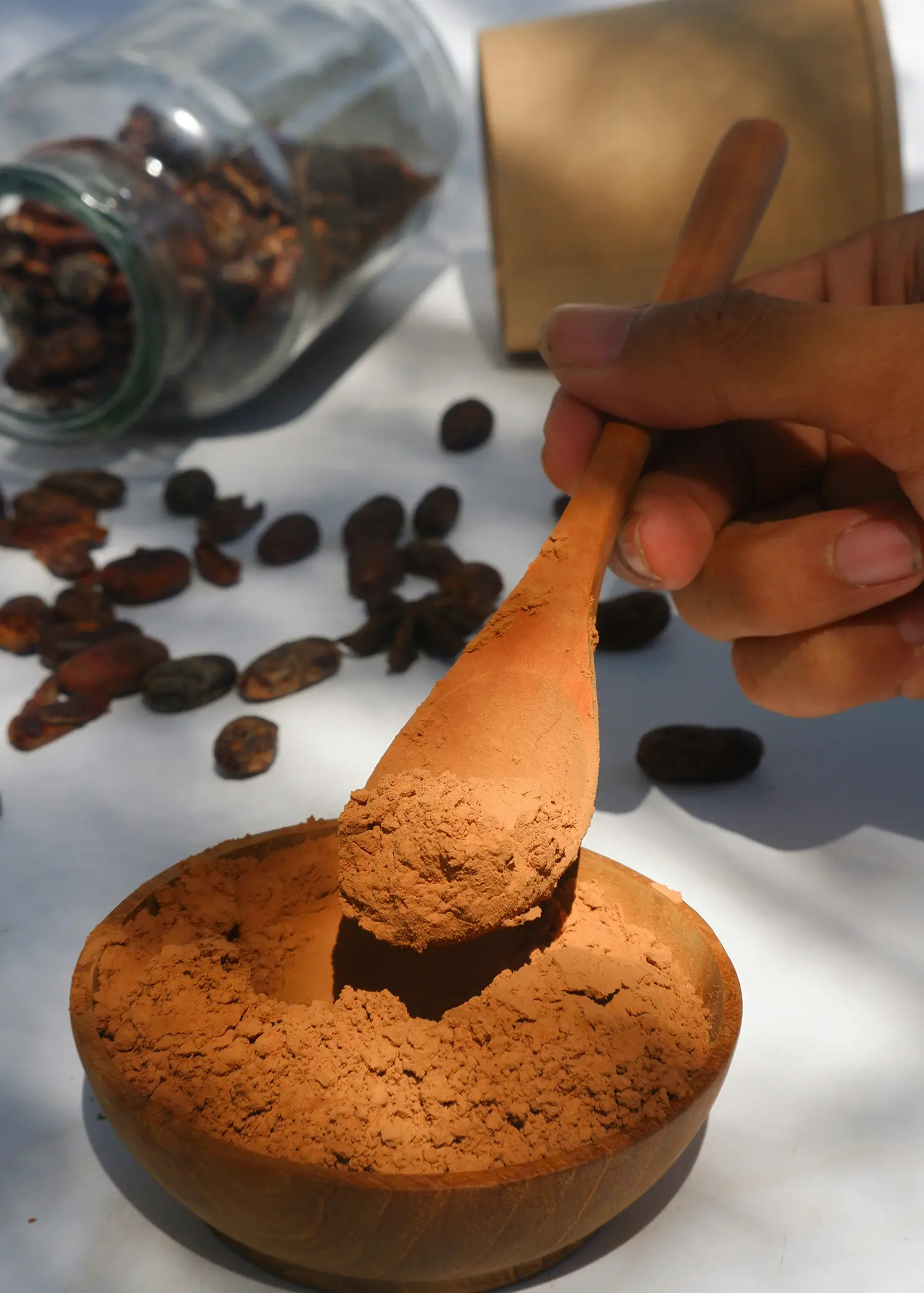 ANI Dominican Republic - Guest Privileges - Beach BBQ Swim