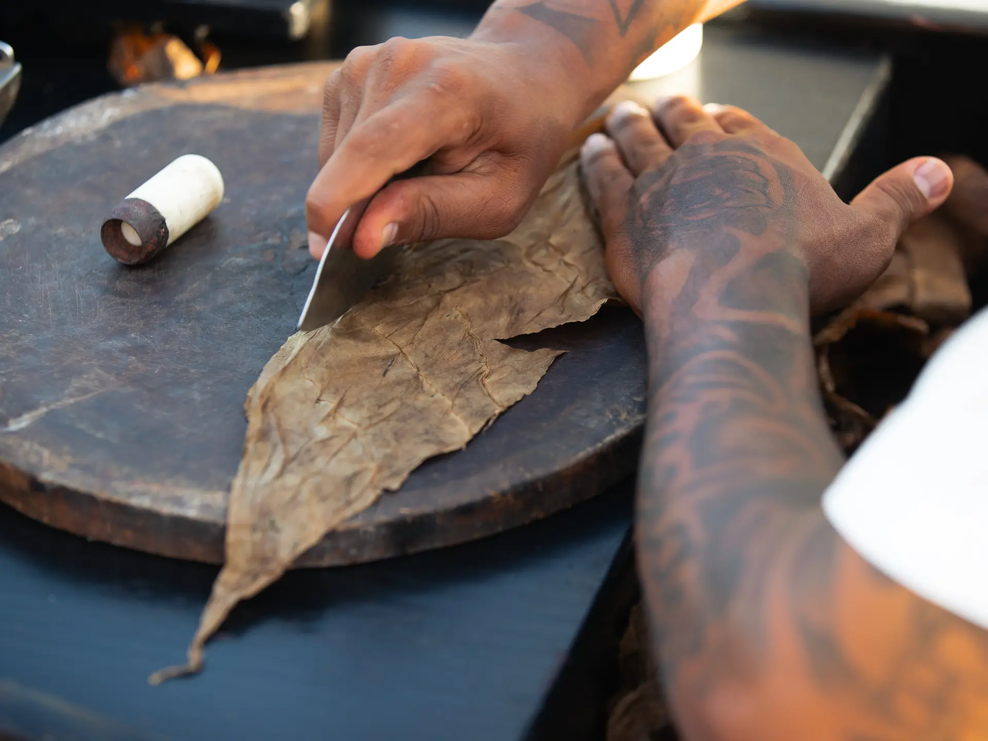 ANI Dominican Republic - Guest Privileges - Traditional Dancer