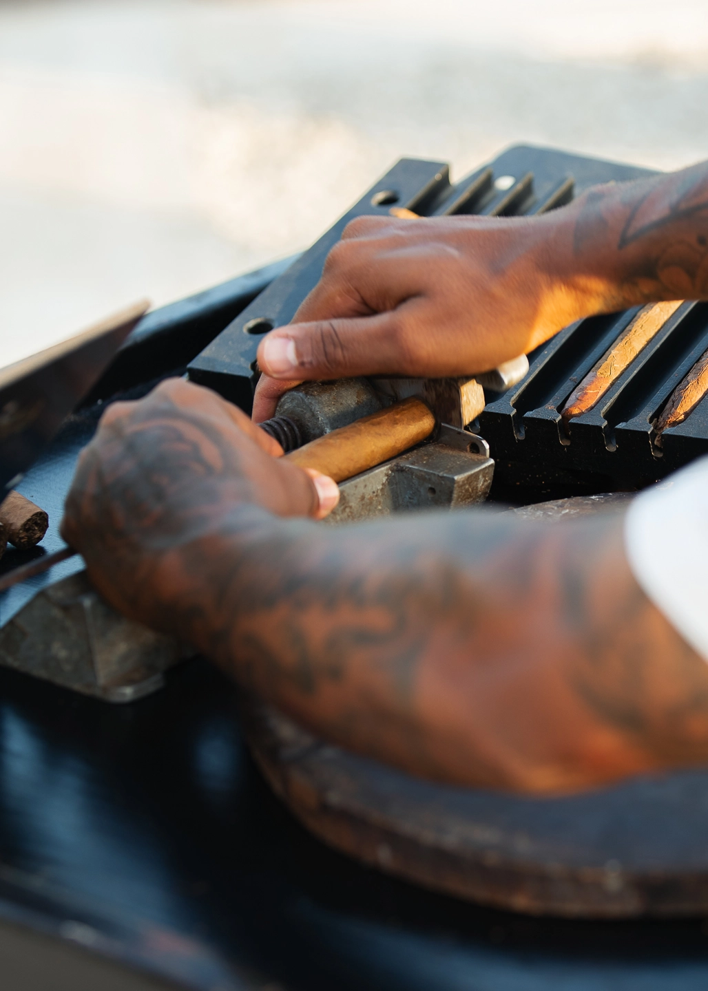 ANI Dominican Republic - Guest Privileges - Traditional Dancers