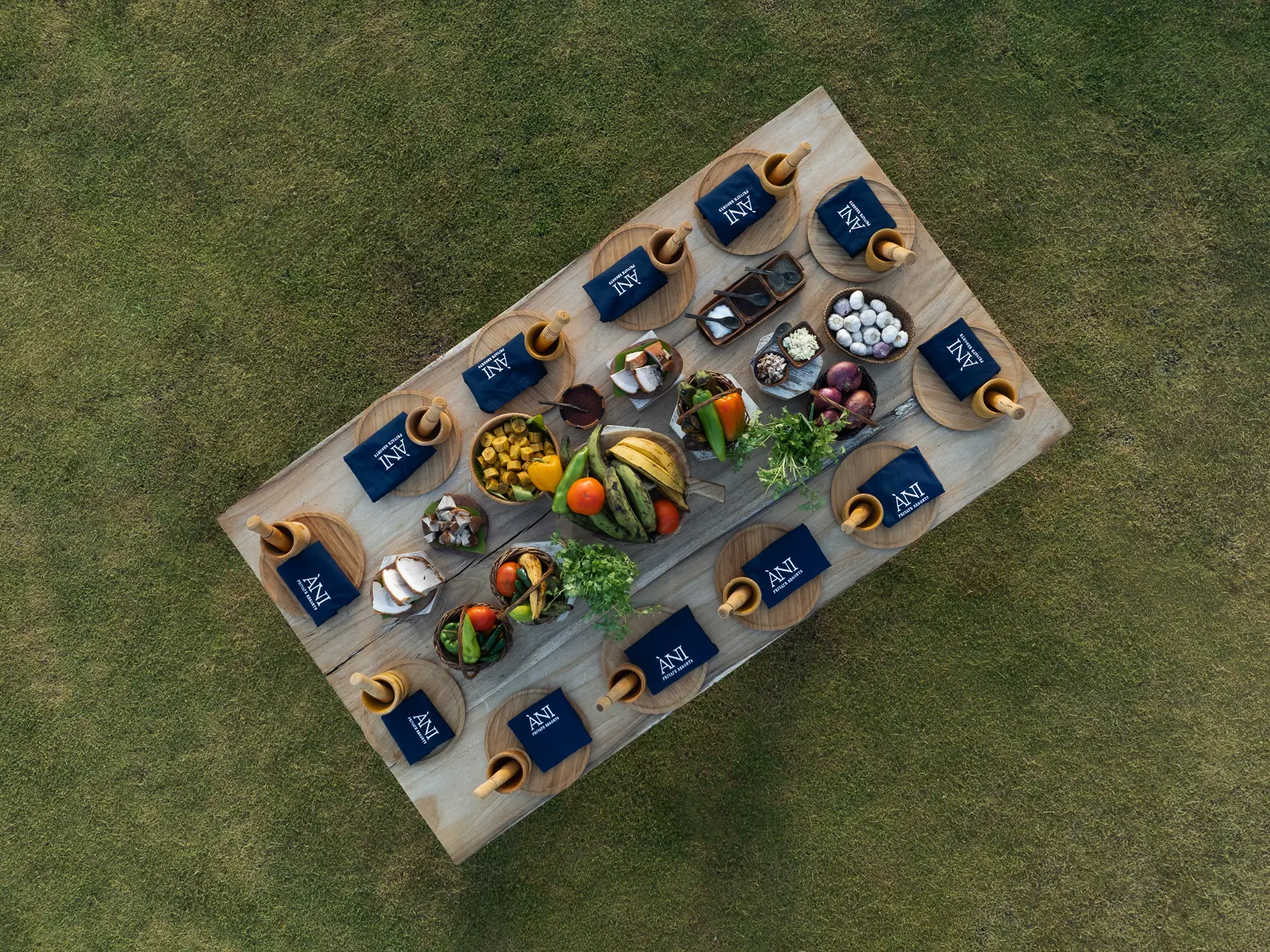 ANI Dominican Republic - Guest Privileges - Traditional Dancer