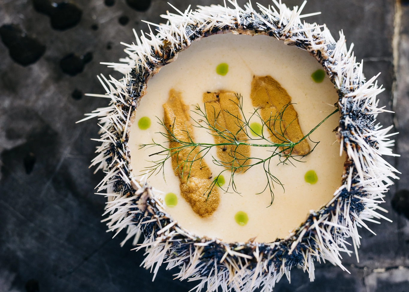 Ani-Thailand_dining-breakfast