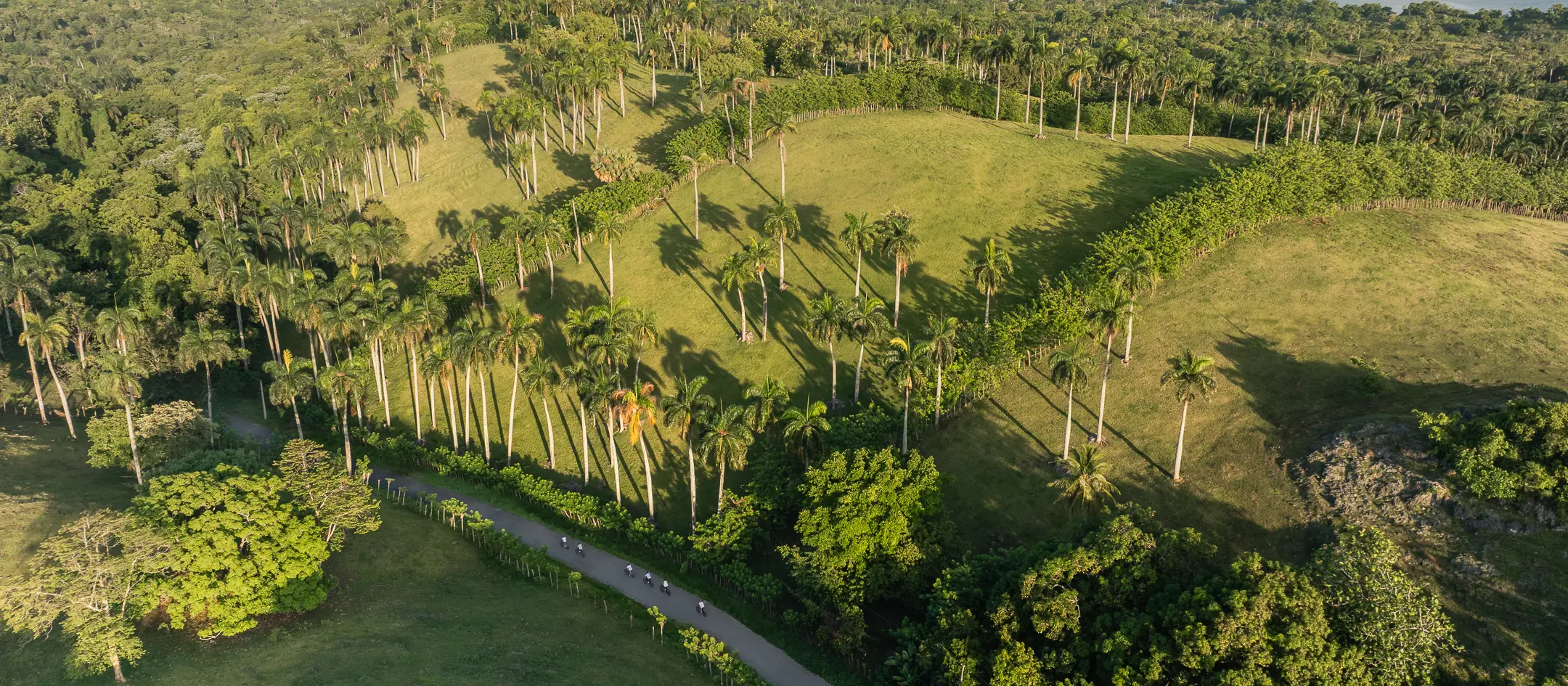 ANI Thailand - Guest Privileges - Breakfast in the Paddy fields