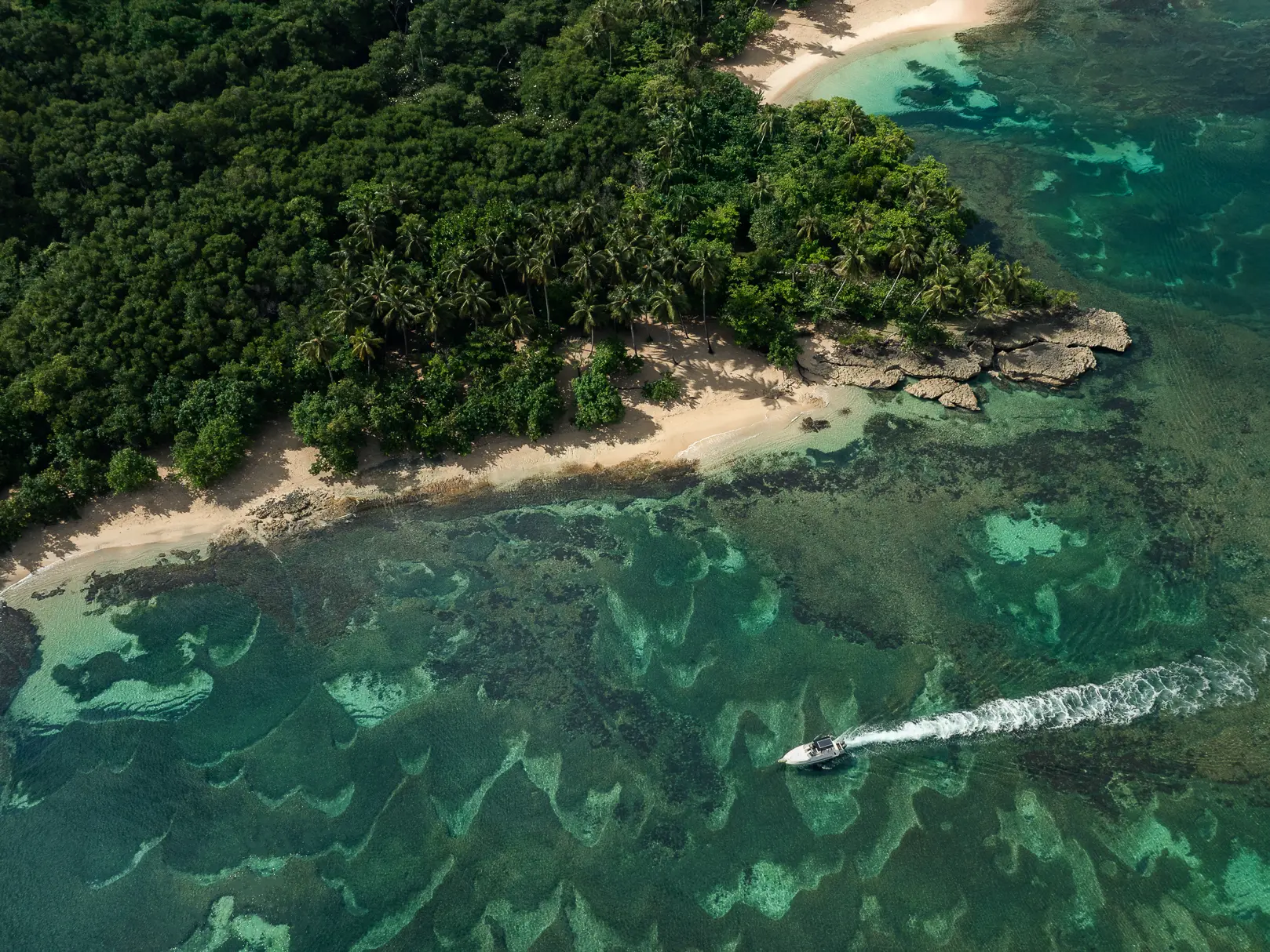 ANI Thailand - Dining - Dishes - Beef with Black ink pasta