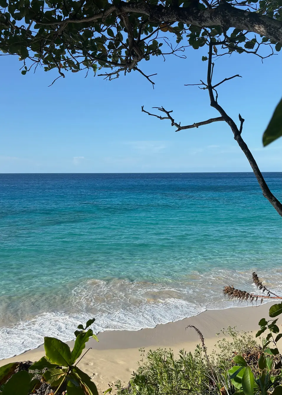 ANI Dominican Republic - Guest Privileges - Sunset Cruise - Sunset Swim