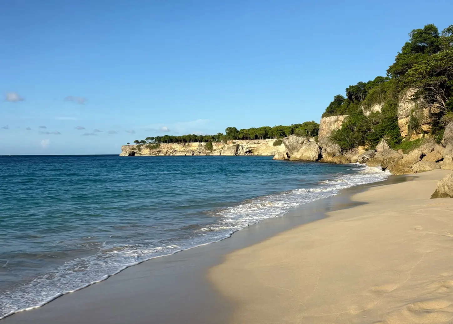 Dominican Republic whale watching at Samana Bay