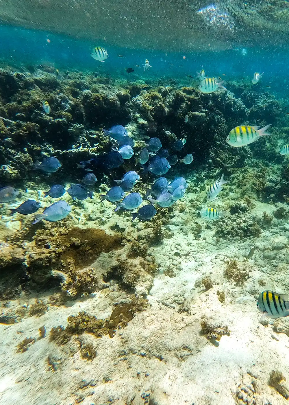 Private ATV tour excursion through the Dominican Republic countryside
