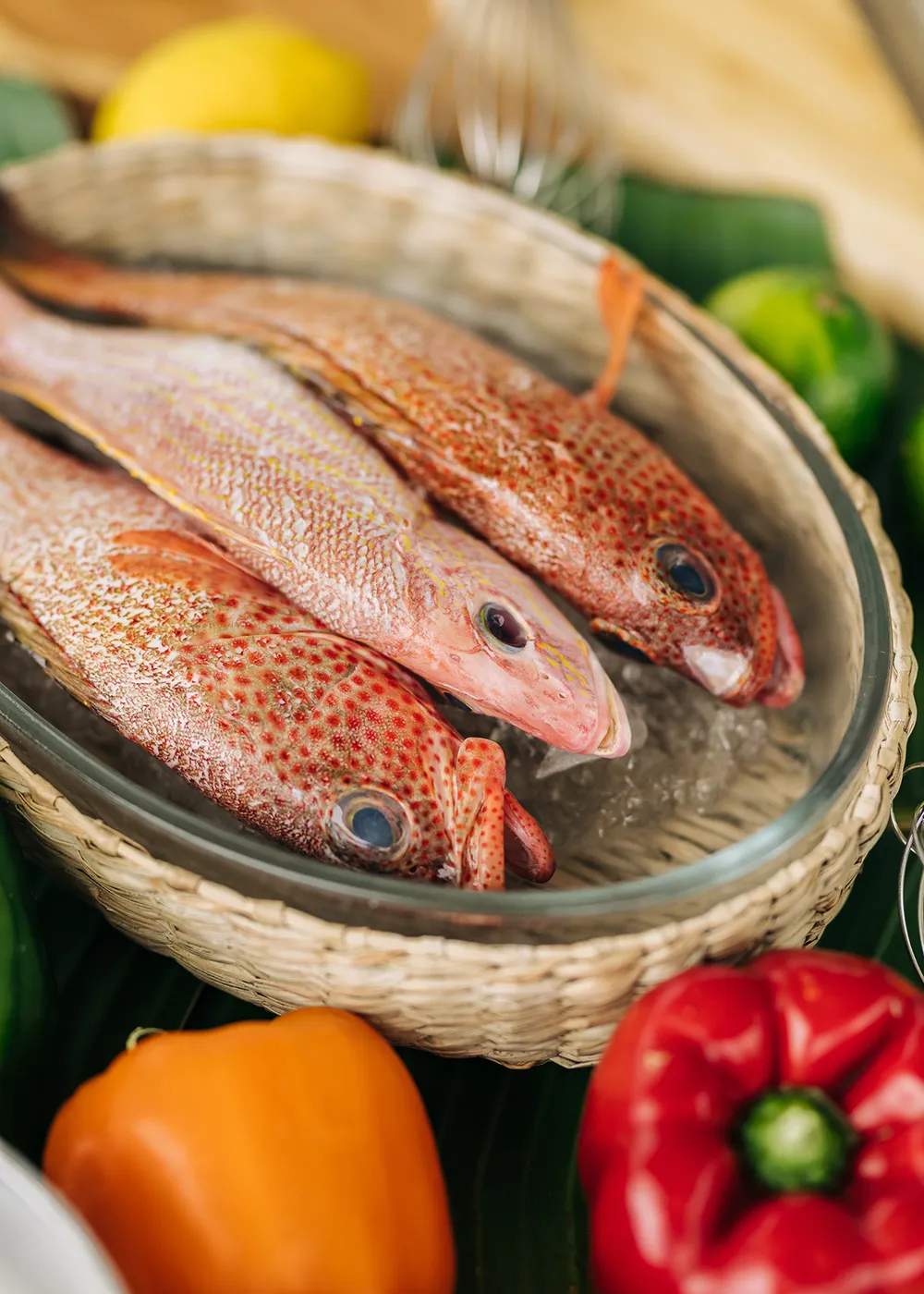 Private ATV tour excursion through the Dominican Republic countryside