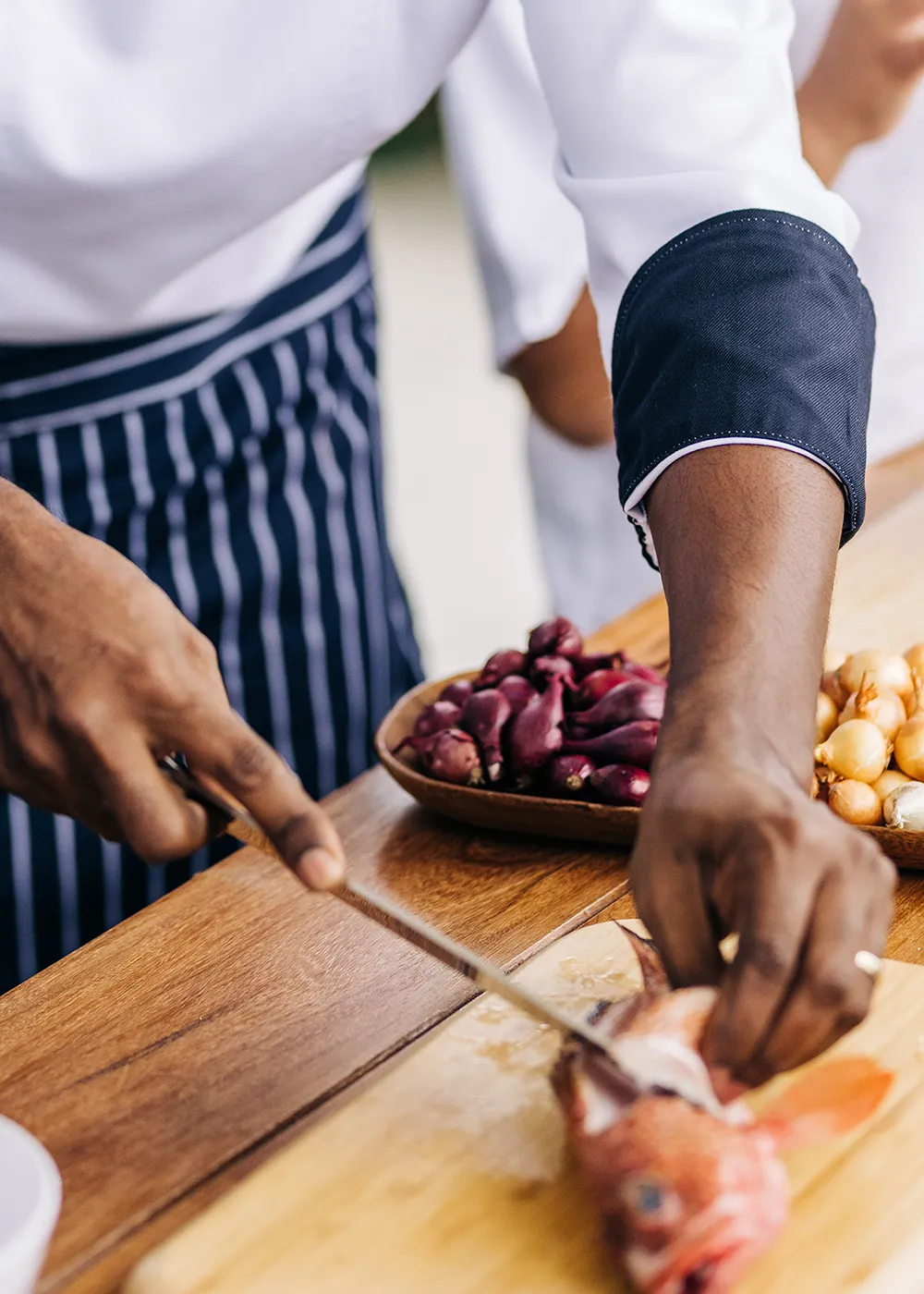 ANI Dominican Republic - Guest Privileges - Beach BBQ Swim