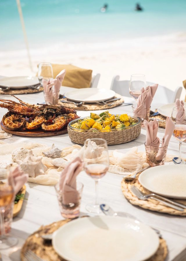 ANI Sri Lanka - Wellness - Guest Privileges - Ayuverada Treatment