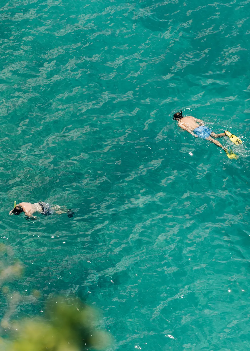 ANI Dominican Republic - Guest Privileges - Beach BBQ Swim