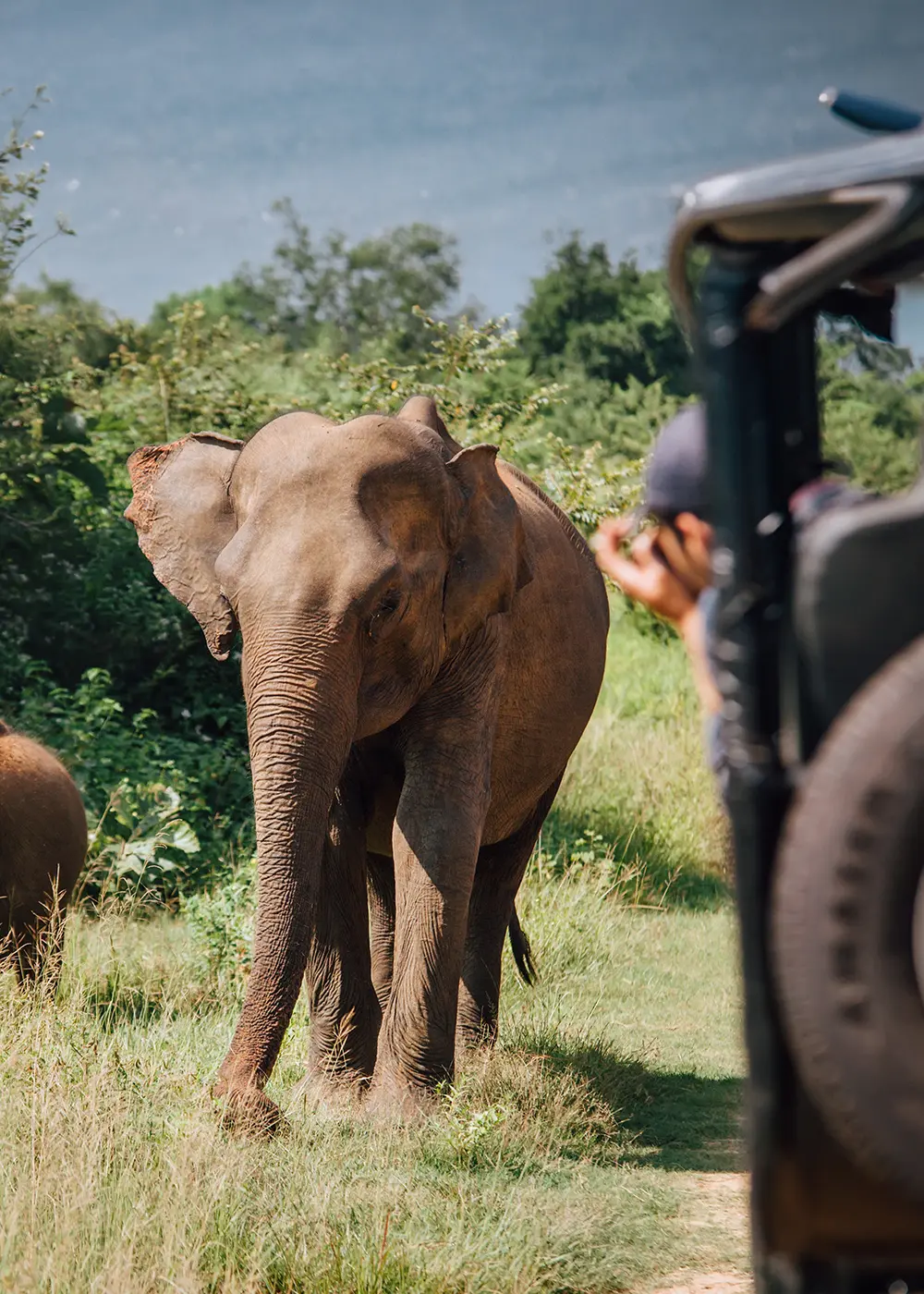 ANI Sri Lanka - Wellness - Guest Privileges - Ayuverada Treatment