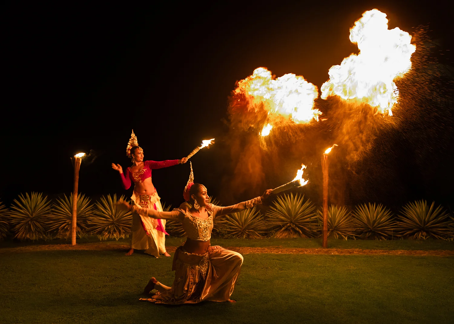 ANI Sri Lanka - Wellness - Guest Privileges - Ayuverada Treatment