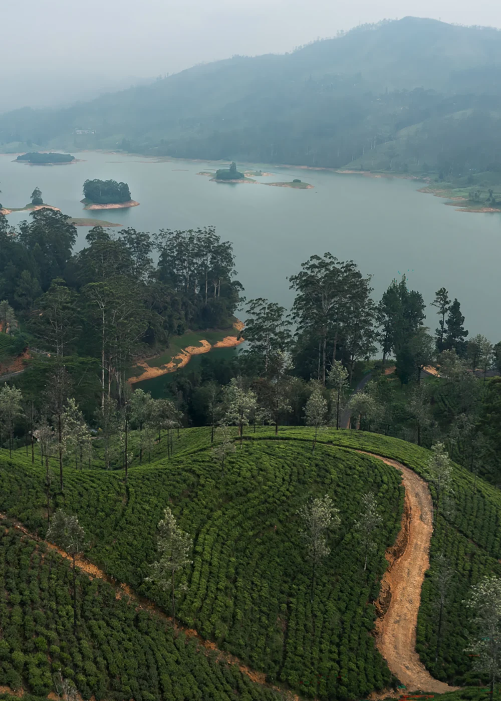 ANI Sri Lanka - Wellness - Guest Privileges - Ayuverada Treatment