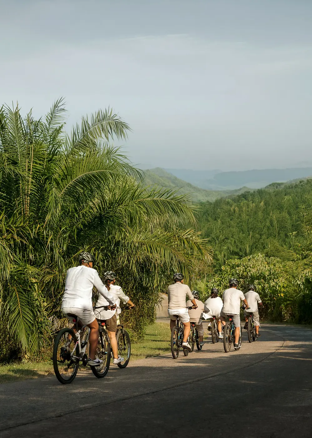 ANI Sri Lanka - Wellness - Guest Privileges - Ayuverada Treatment