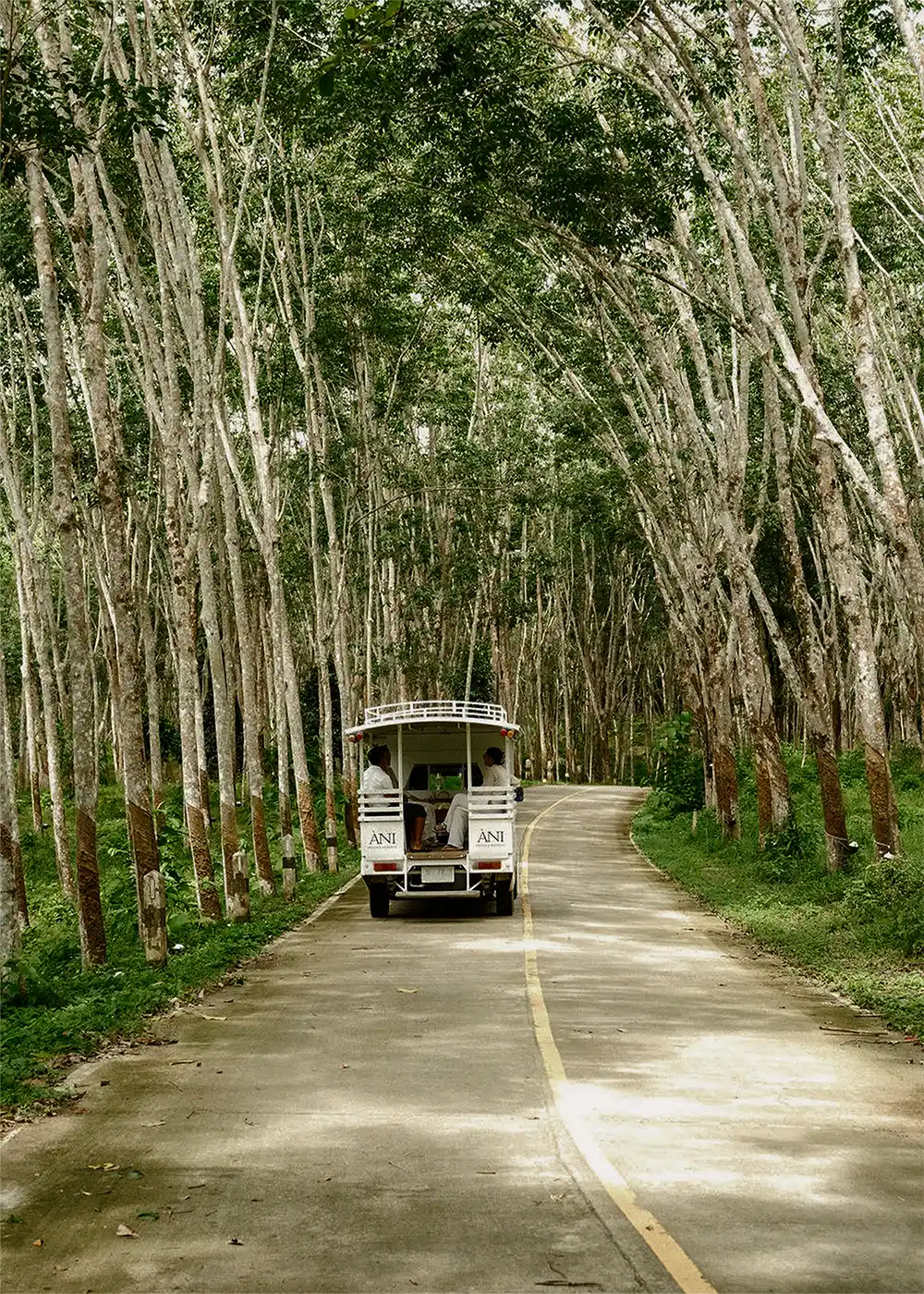 ANI Sri Lanka - Wellness - Guest Privileges - Ayuverada Treatment