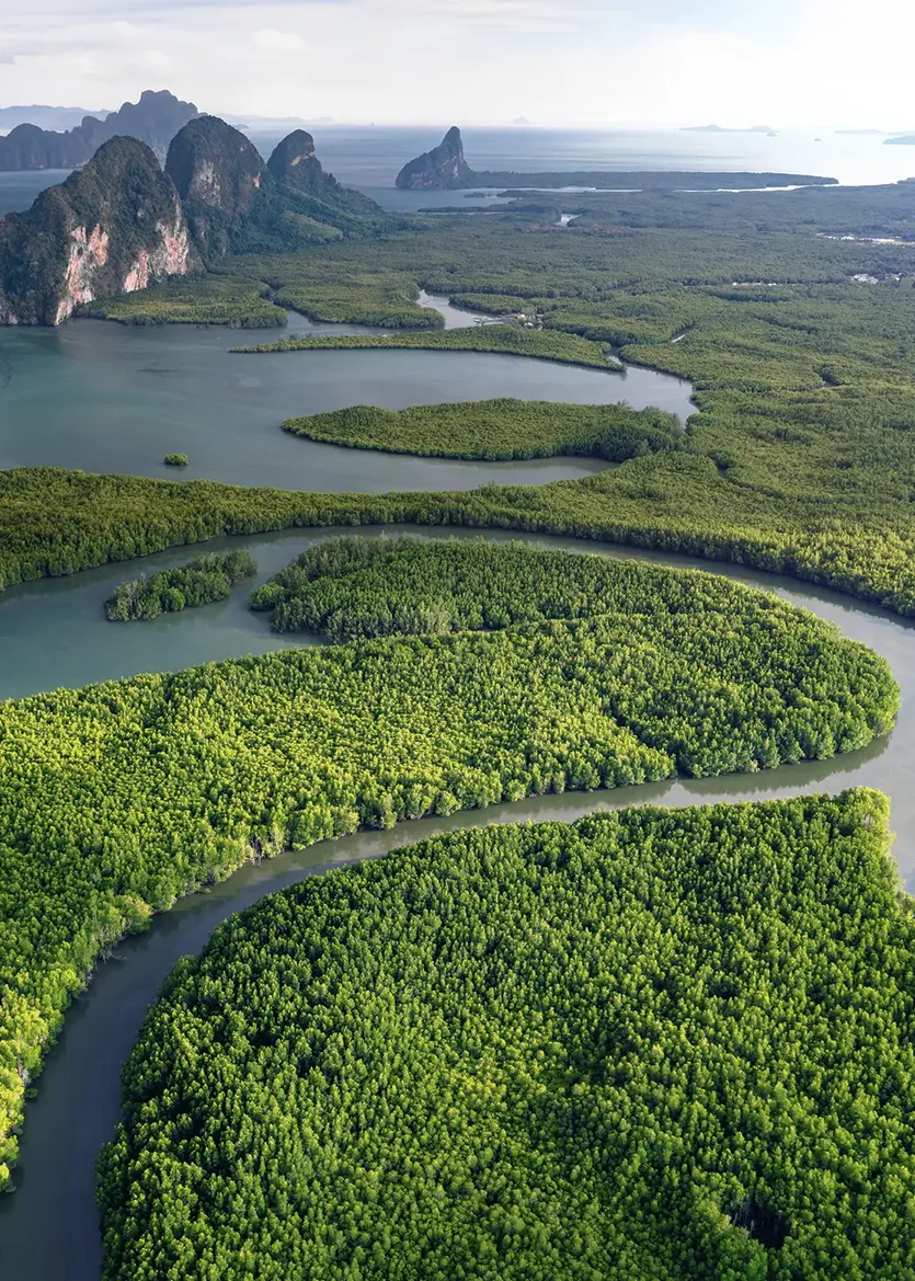 Rain & Renewal on Koh Yao Noi | Green Season in Thailand