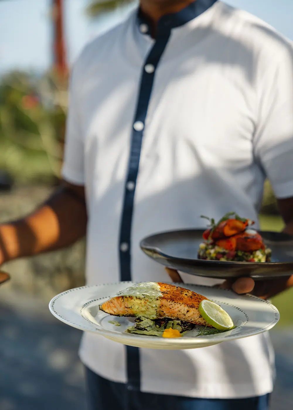ANI Sri Lanka - Wellness - Guest Privileges - Ayuverada Treatment